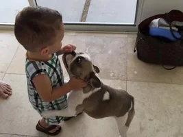 4 PAW MEMBERS!!!  Please VOTE for your favorite Frenchies with Children!