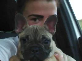 New family member