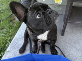New Member