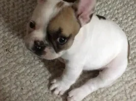Hello there!