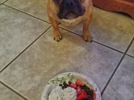 :ding ding ding: Come and get it!