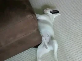 Trying to Cool
