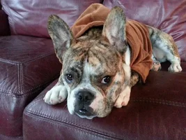 Buster's New "Fur" Hoodie!