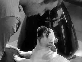 4 Paw Members, Please vote for June Frenchie of the Month!