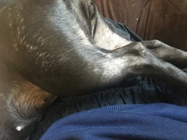 Please help. Bald spot/hair thinning