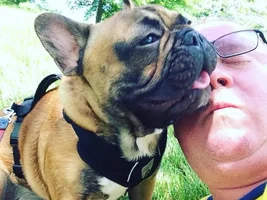 Abscess on neck and not eating.