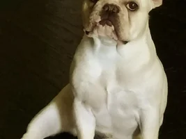 Sweet Katy