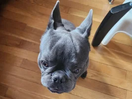 Hi my name is clover