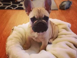 New To Forum