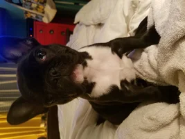 New Member!