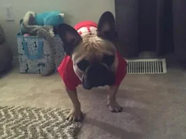 Jax and his new 49ers jersey