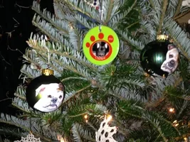 *First Annual Ornament Exchange Sharing Thread*