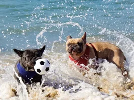 Labor Day weekend = Beach time!!!