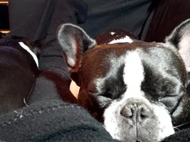 Zzzzzz....