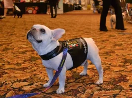 Travis at Vegas Nationals!