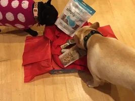 2015 Secret Santa Paws Sharing Thread