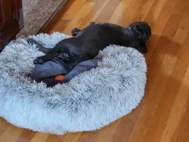 Nap time picture
