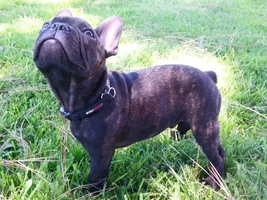 enjoying life at 12 weeks!