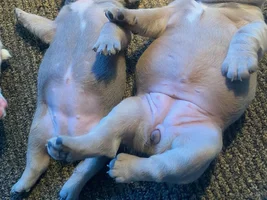 Newb here!