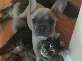 Best Buds!