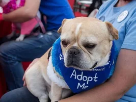 Rocco's 1st Fundraiser