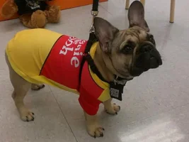 Winnie the Pooh aka Jax