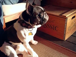Sitting Style