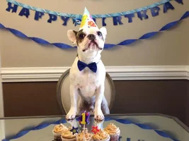 Rootbeer is 1!