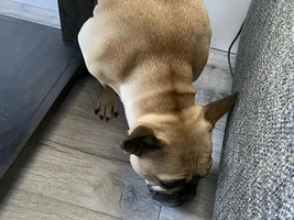 Rusty- help please!!