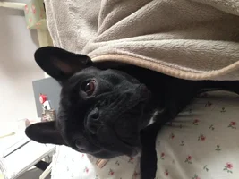 Hiya !:)