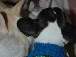 more Olivia & Wilson pics