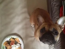 :ding ding ding: Come and get it!