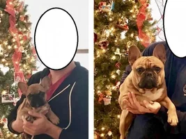 You ate our puppy!!! (then and now pics)
