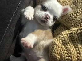 Hello!!