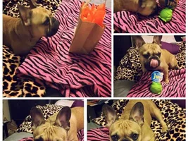 Happy Birthday to Jax
