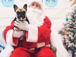 happy holidays from Fiona!