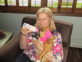 ~ENTER HERE~ Mother's Day Contest ~ May Frenchie of the Month