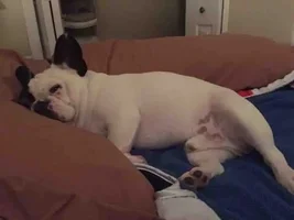 Bedtime