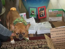 2015 Secret Santa Paws Sharing Thread