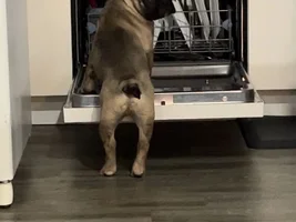 Lincoln is almost 5 months and into everything