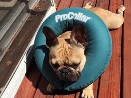 The cone of SADNESS