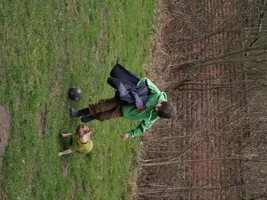 Walk through the woods