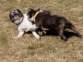 Play time!