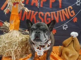 Happy Thanksgiving 2022