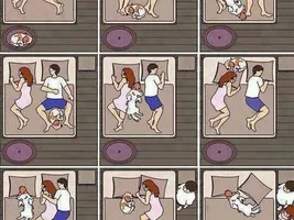 Cartoon hilariously illustrates what it's like to sleep with dogs!