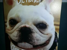 Two Cute Frenchie Cards