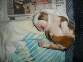 Hi -- here is Cheli