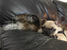 Frankie & Emma
