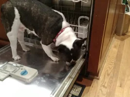 Prewash cycle