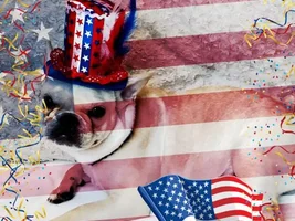 July 4th photos